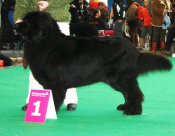 Cr2