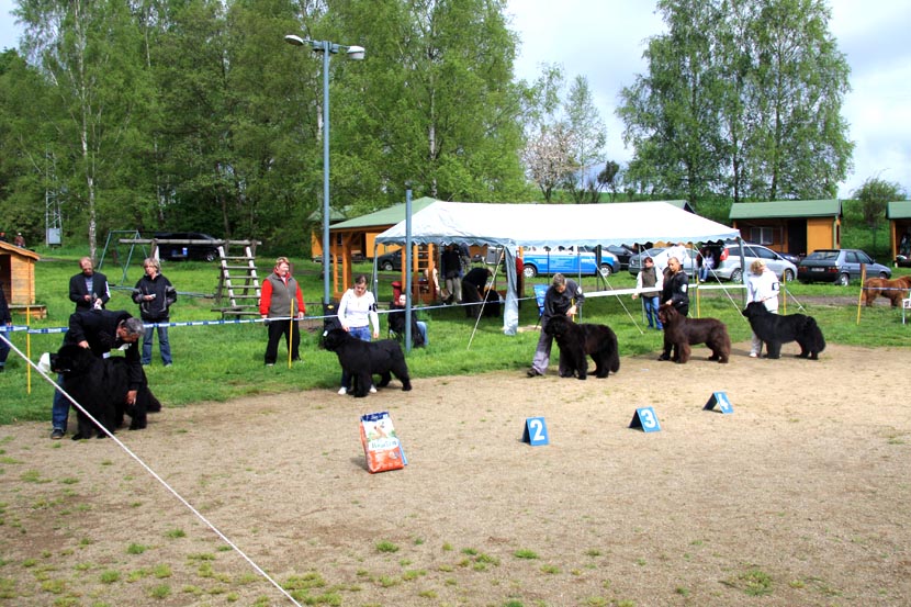 fotogalerie